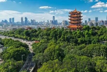 成人淫色视频-成人世界的灰色地带，成人淫色视频的隐秘影响