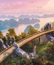 大象传媒软件app-探索大象传媒软件APP，数字时代的文化传播新引擎
