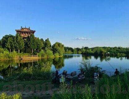 麻豆91国语视频-麻豆91国语视频，新时代的网络文化现象与争议