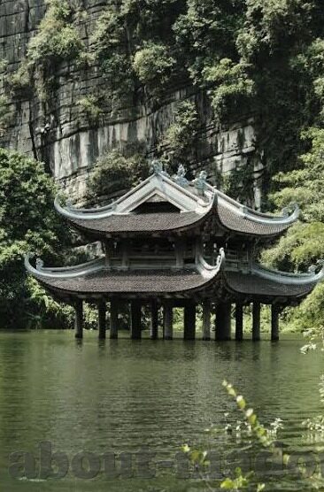糖心app软件有危害么-糖心APP软件的潜在风险，用户需警惕的警示