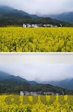 糖心vlog视频APP-探索糖心Vlog视频APP，记录生活，分享美好