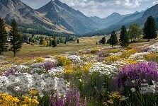 糖心vlog下载安装ios-解锁新奇世界，糖心Vlog下载与安装指南，iOS 用户的创意盛宴