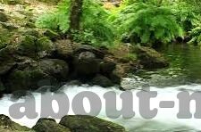 糖心vlog在线下-糖心vlog，探寻线下体验的甜蜜时刻